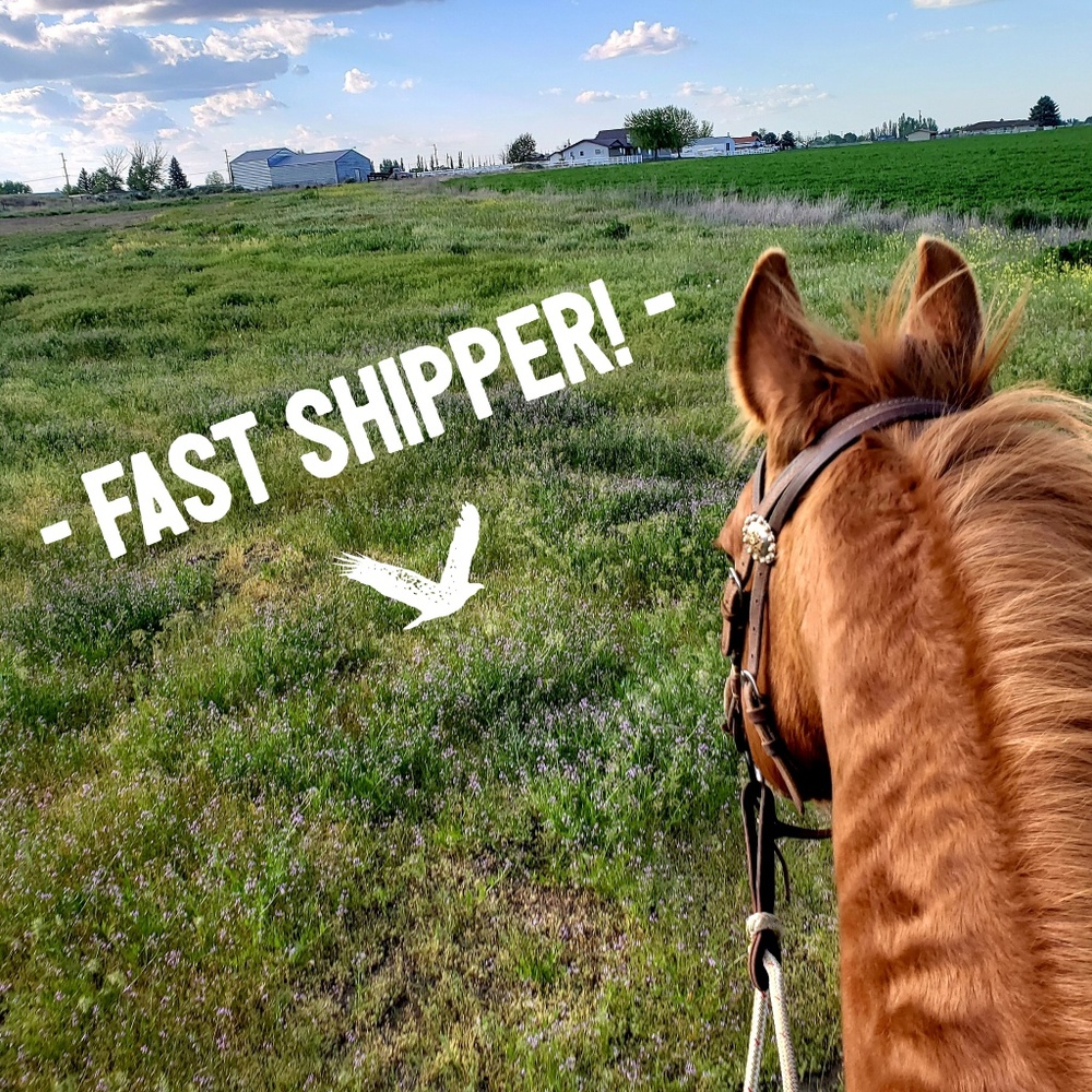 Fast Shipper!